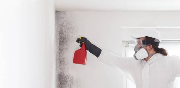 Best Mold Testing  in Manchester, KY